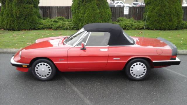 alfa romeo graduate spider