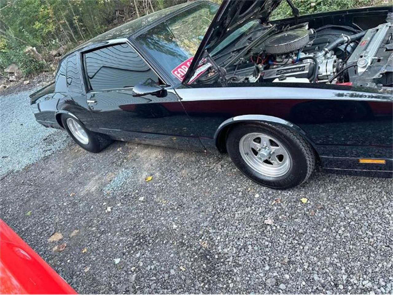 1981 chevrolet monte carlo