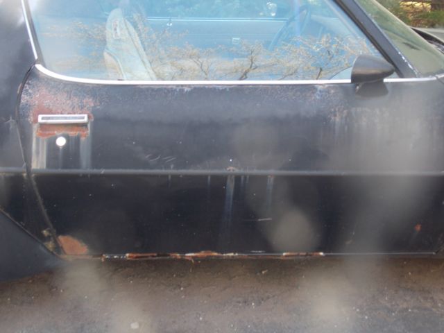 1979 pontiac trans am "smokey and the bandit" project car