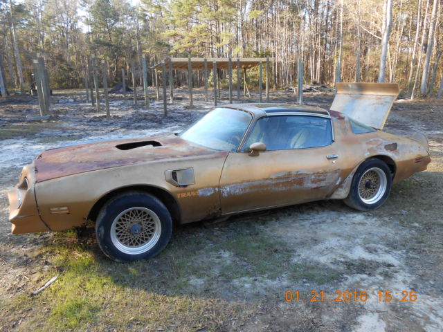 1978 pontiac trans am y88 gold edition