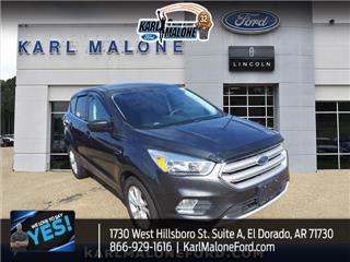 2019 Ford Escape se