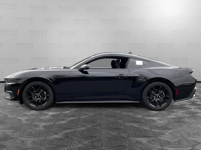 2024 ford mustang