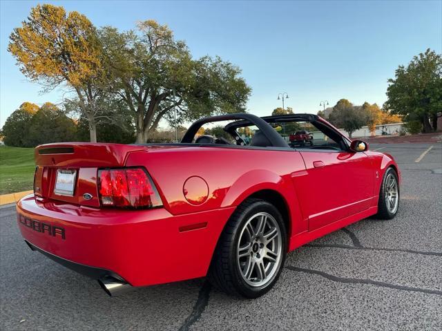 2003 ford mustang svt cobra