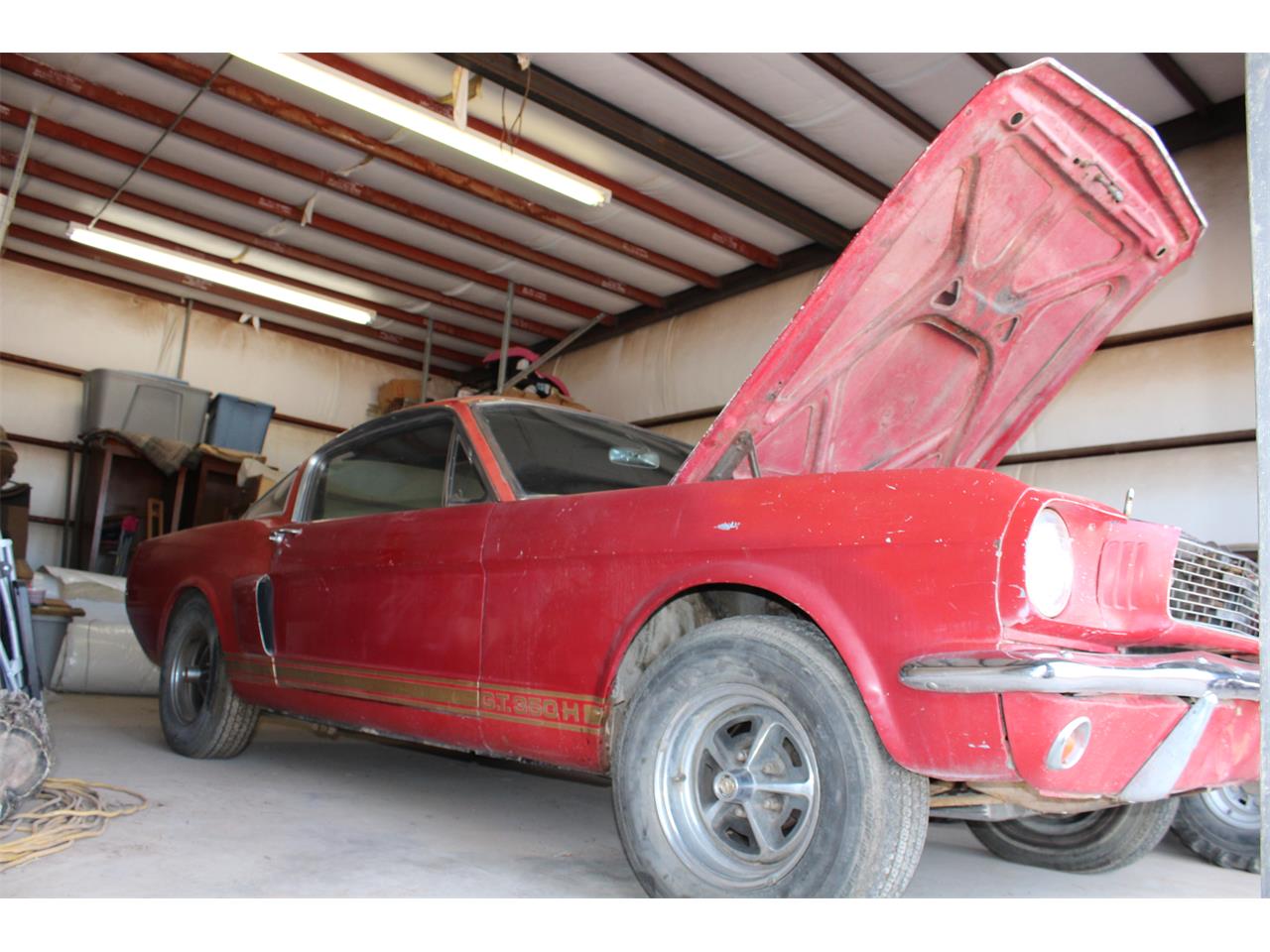 1966 shelby gt350