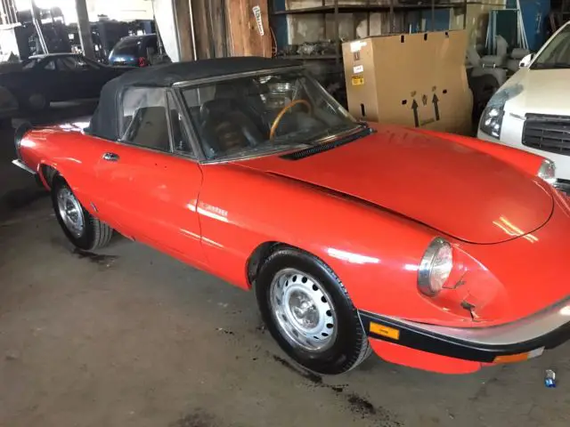 1985 alfa romeo graduate spider convertible, 4 cyl, 5 speed, 75k mi, l@@k!!