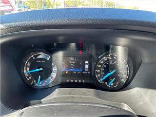 2022 Ford Ranger (North America) xlt