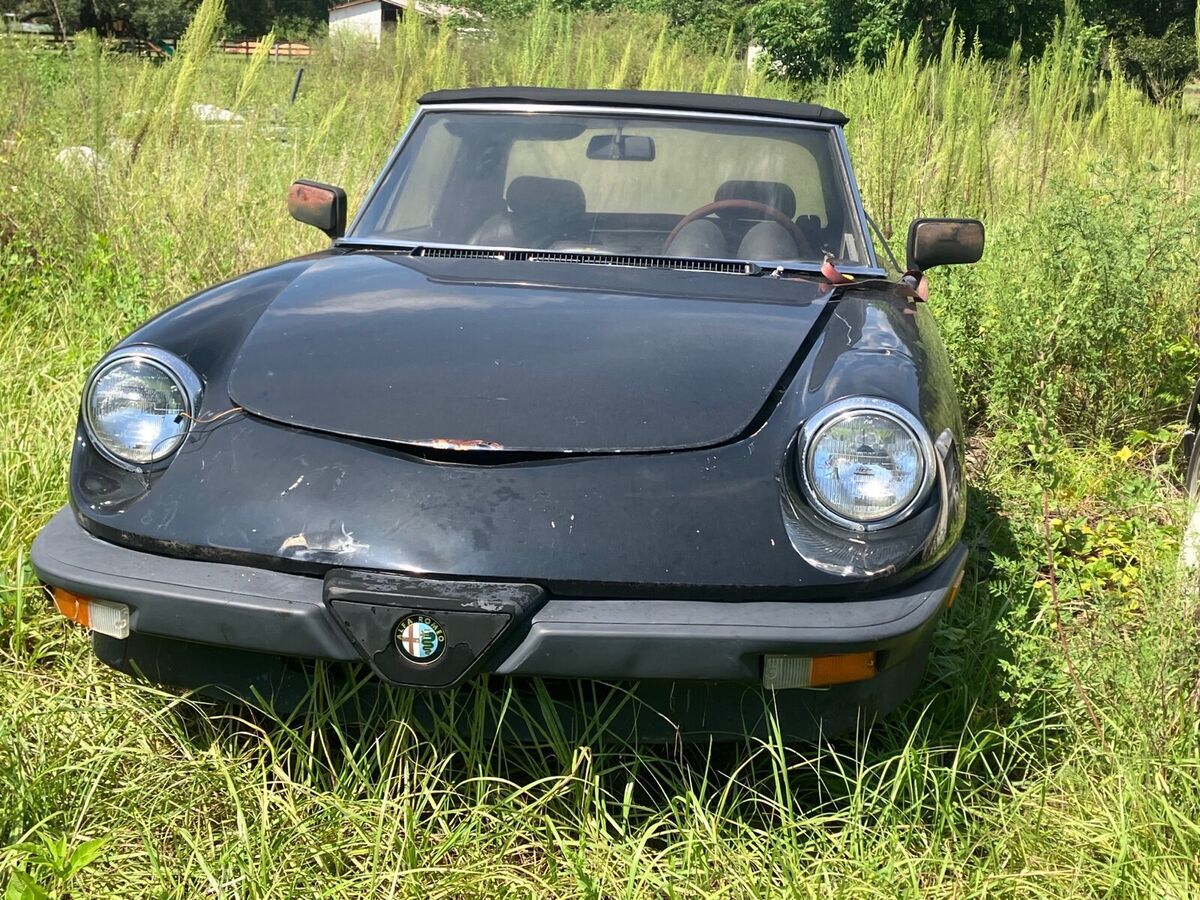 1985 alfa romeo spider convertible black rwd manual 2000 spider