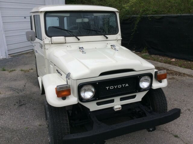 originally from new mexico american model mint