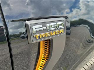 2022 Ford F-150 tremor