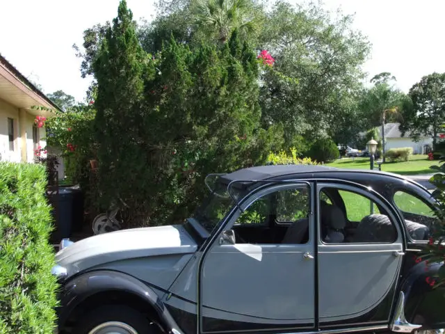 absolutely gorgeous nothing needed except a new driver