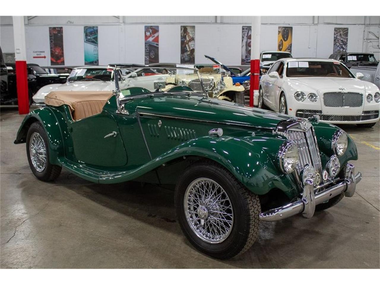 1954 mg tf