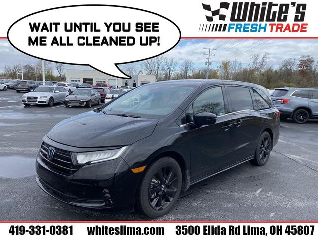 2024 honda odyssey sport