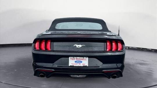 2021 ford mustang ecoboost