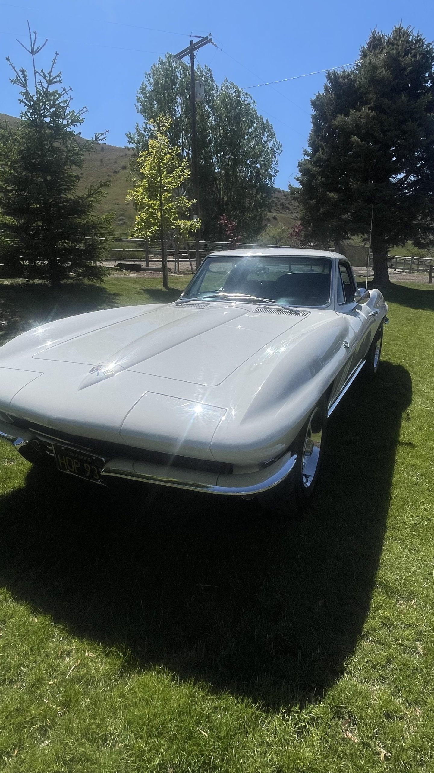 1965 chevrolet corvette stingray