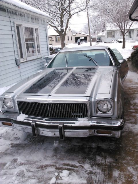 1976 chevelle 305