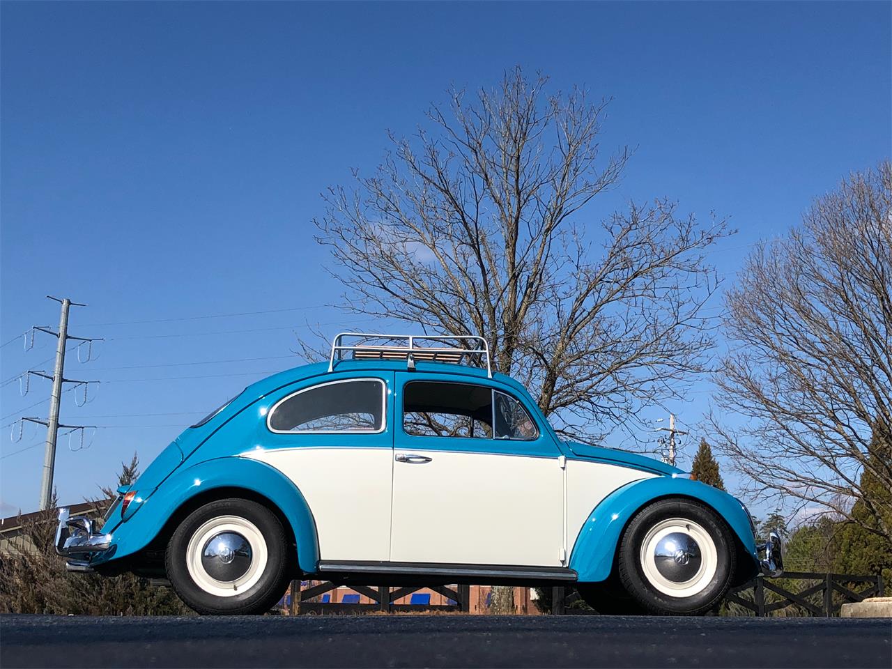 1964 volkswagen beetle