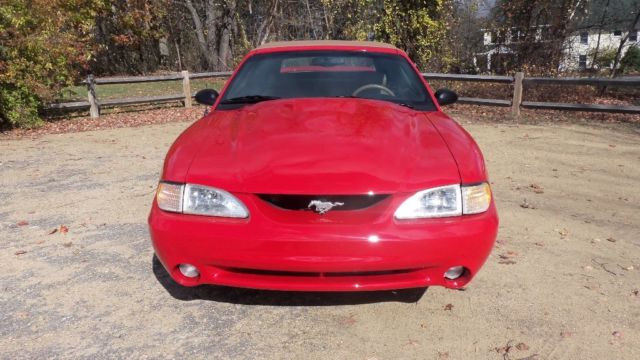 mustang cobra pace car