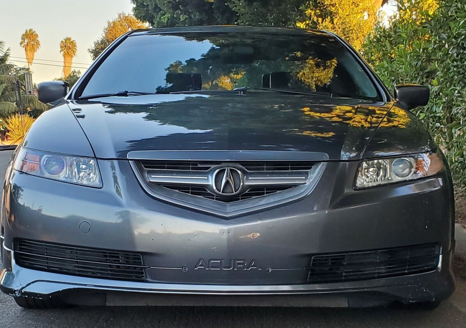 2005 acura tl