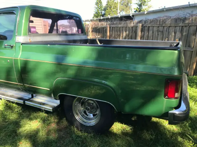 1974 chevy c20 custom pick up big block 427 . clean florida title in hand
