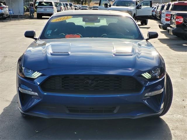 2022 ford mustang ecoboost