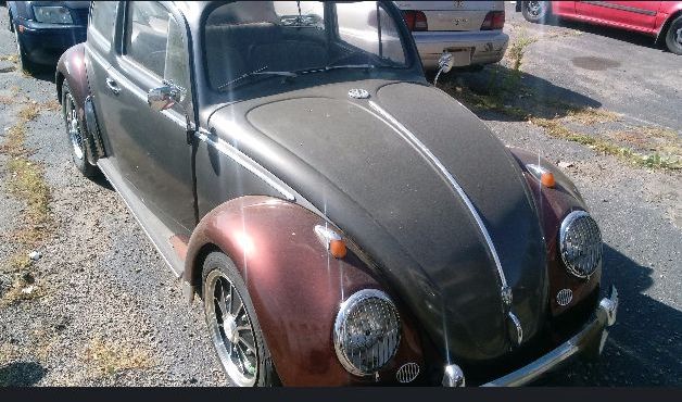 1958 volkswagen beetle for sale in colorado by owner