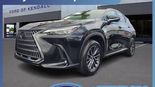 2024 Lexus NX