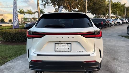 2025 Lexus NX
