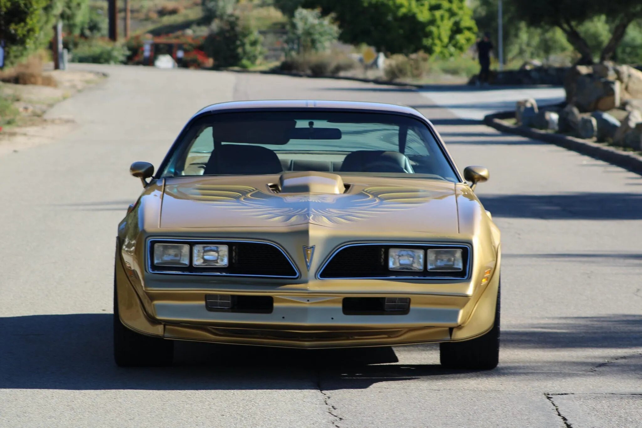 pontiac firebird trans am