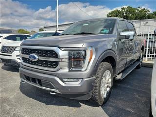 2021 Ford F-150 platinum