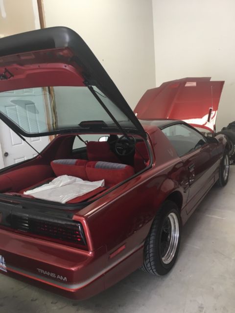 1986 pontiac trans am survivor