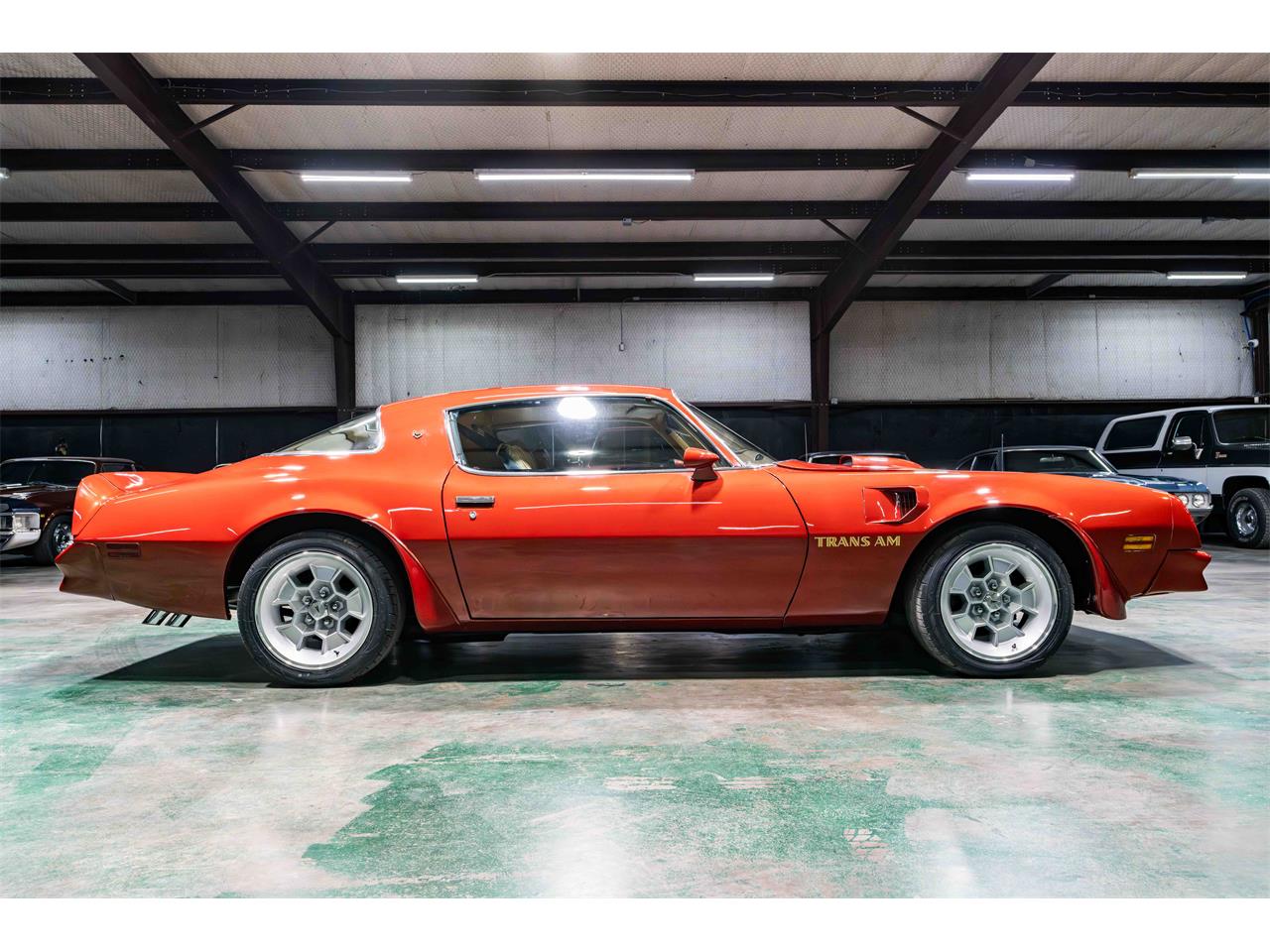 1976 pontiac firebird trans am