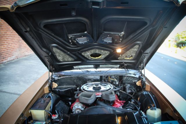1970 buick skylark (gs, stage 1, gsx)