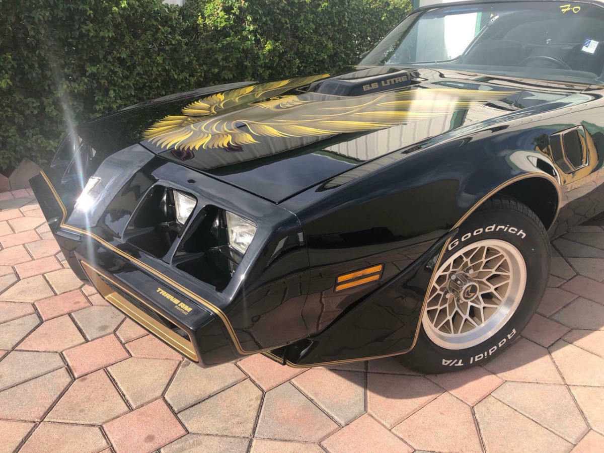 1979 firebird trans am y84 special edition