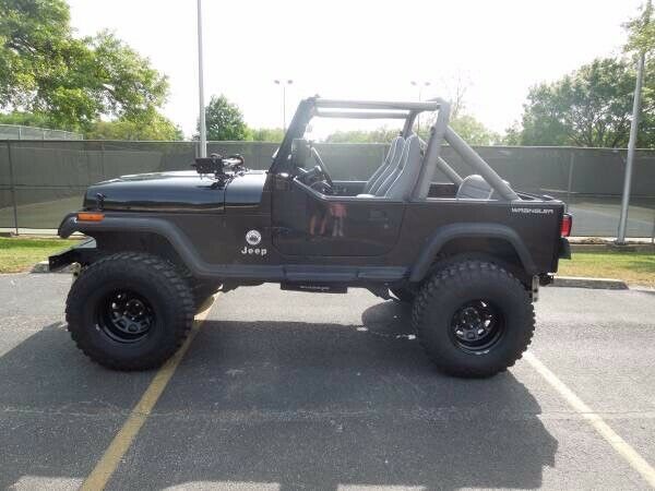 1991 jeep wrangler 4.0l (61k original miles)