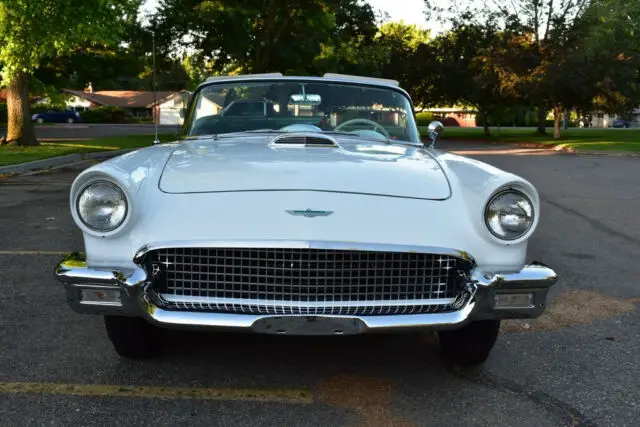 gorgeous restored 1957 ford thunderbird roadster