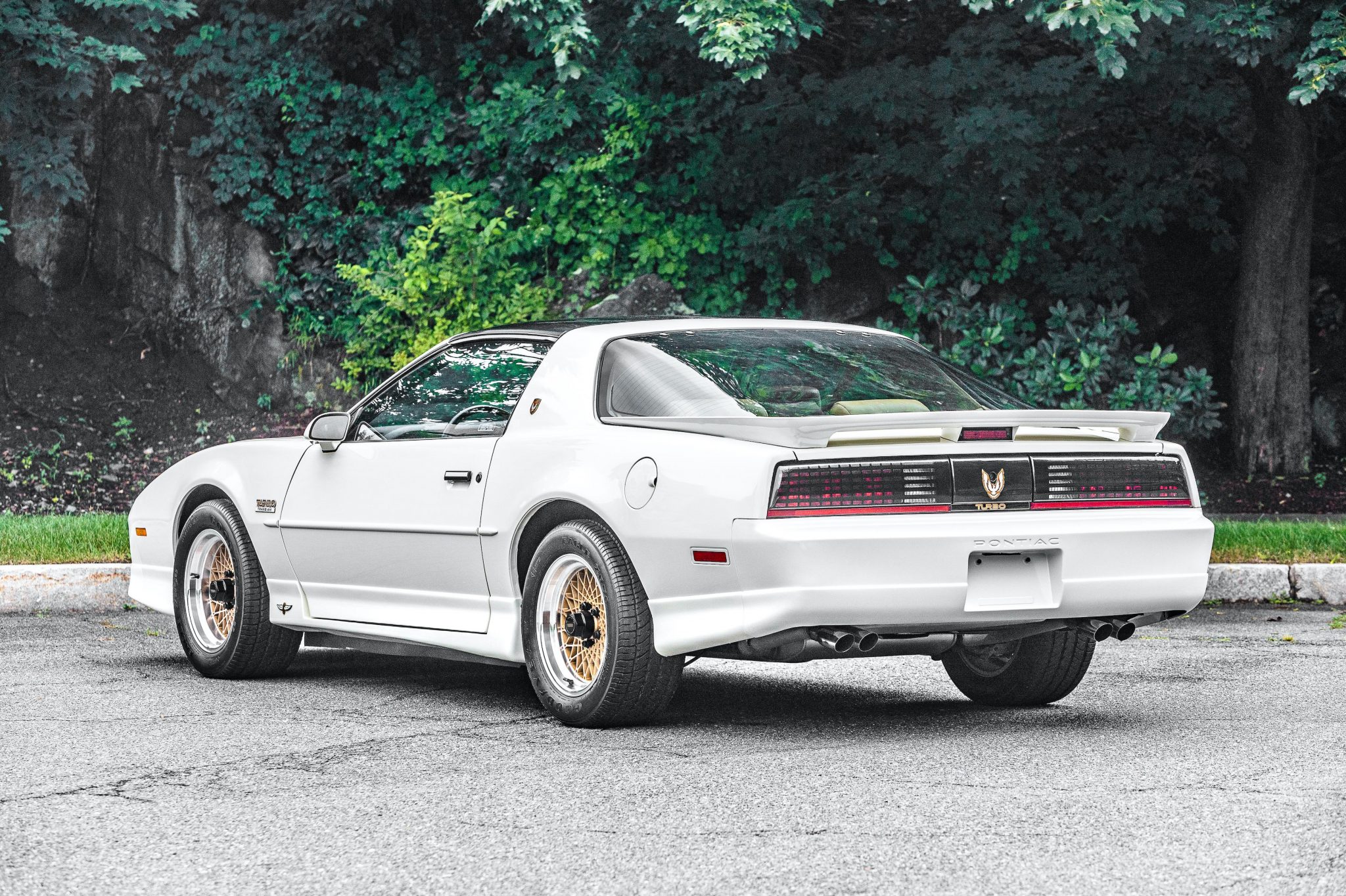 1989 pontiac firebird 20th anniversary turbo trans am