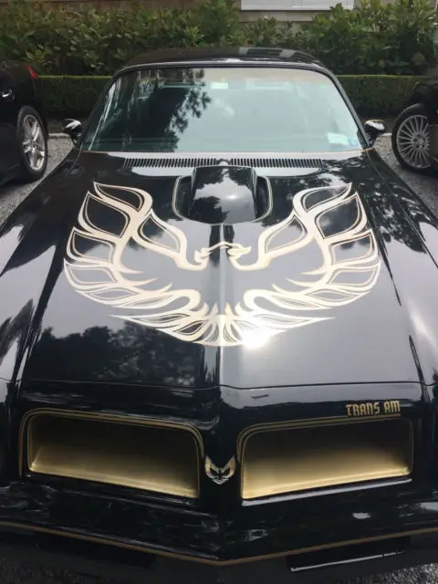 1976 pontiac trans am - 50th anniversary special edition model