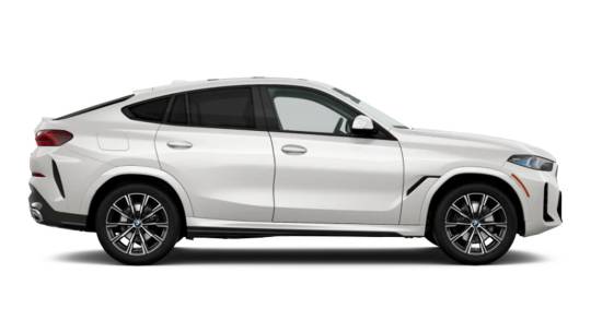 2025 BMW X6