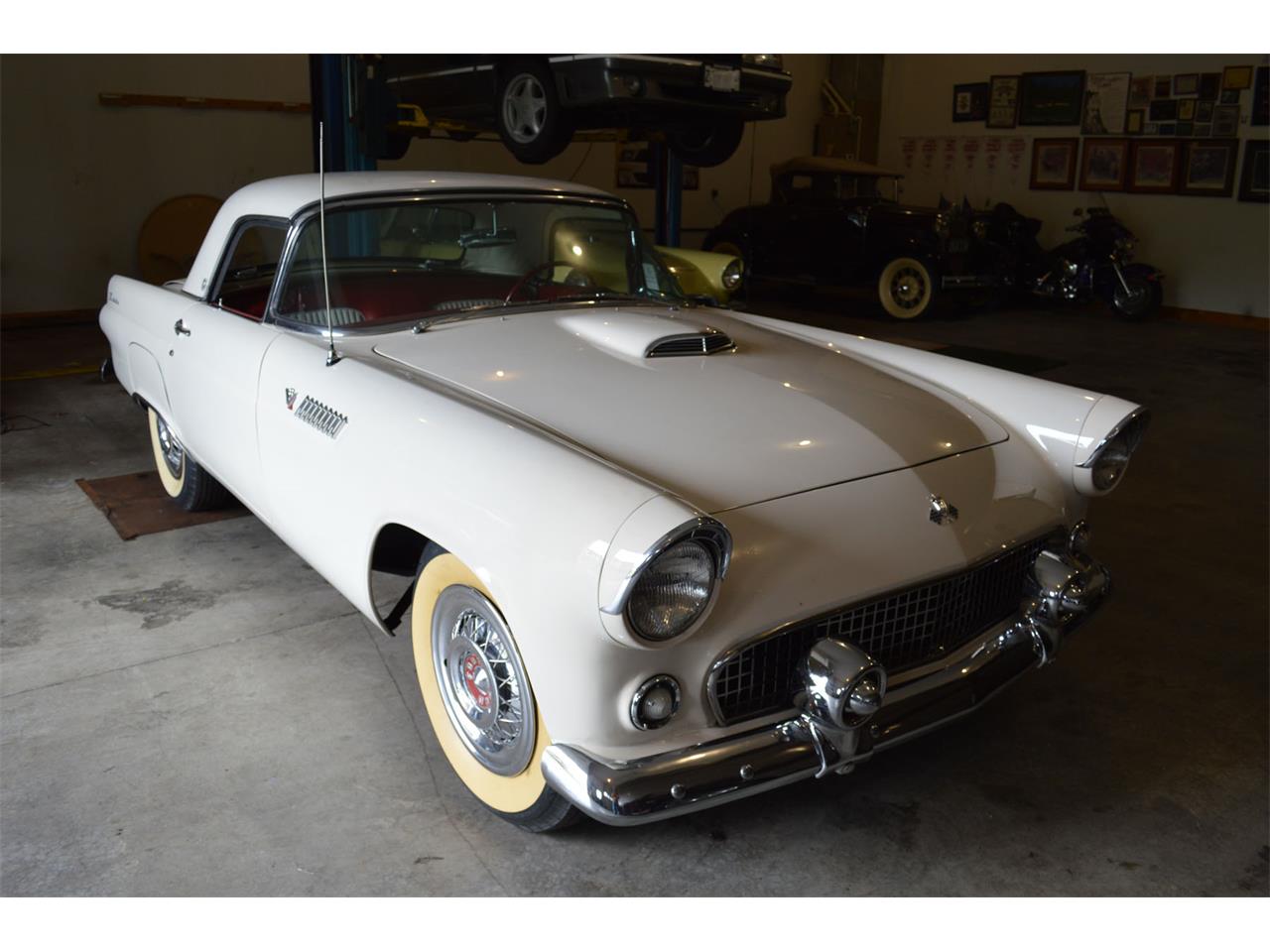 1955 ford thunderbird