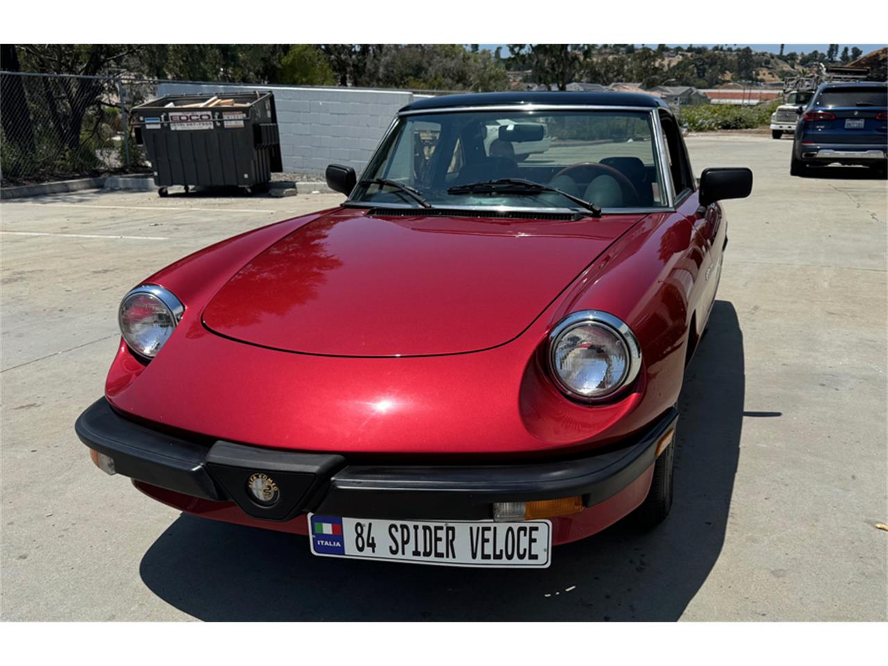 1984 alfa romeo spider