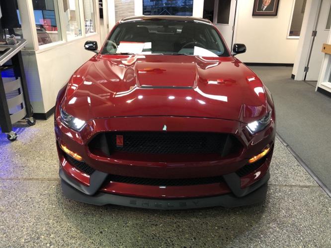 new 2019 ford mustang shelby gt350 coupe hillsboro, or 97123 for sale in hillsboro, oregon