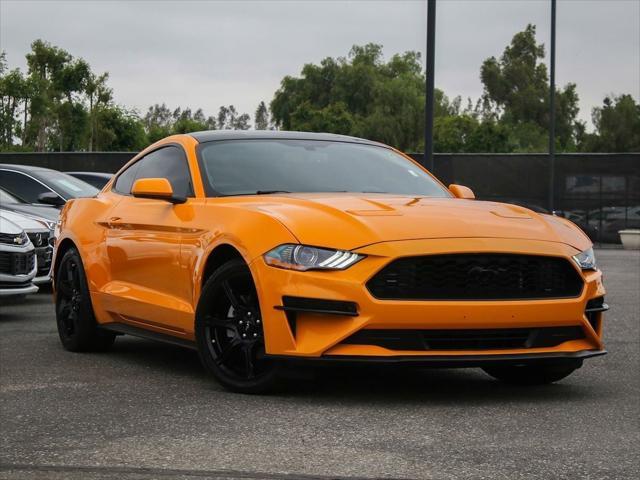 2019 ford mustang ecoboost