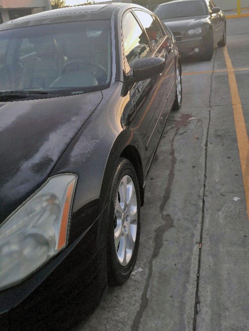 2008 nissan maxima 3.5sl for sale in texas by owner