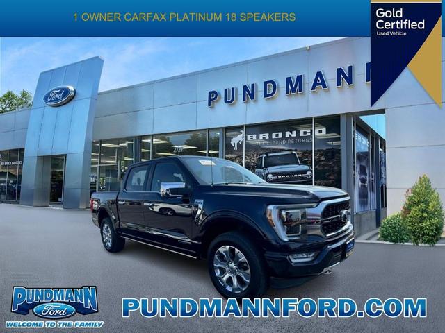 2021 ford f-150 platinum
