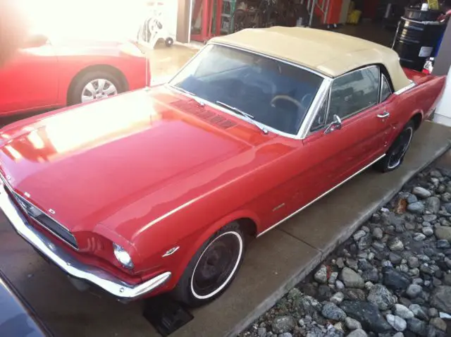 1966 ford mustang convertible (rare barn find)