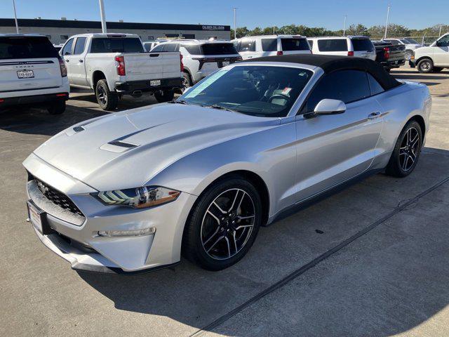2019 ford mustang ecoboost