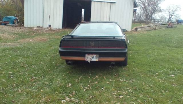 1982 black pontiac trans am / t-tops / knight rider / kitt / david hasselhoff