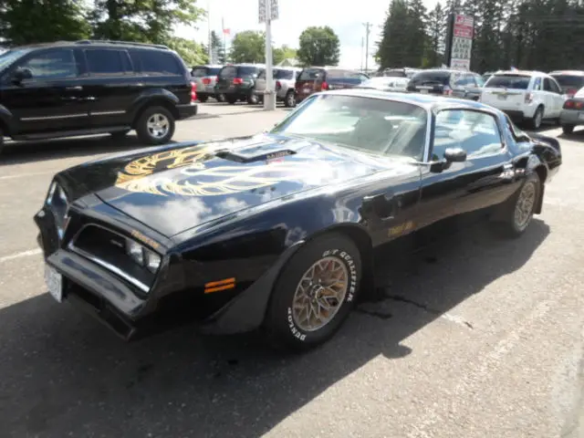 1977 pontiac trans am survivor car original paint 46k miles very solid nice car