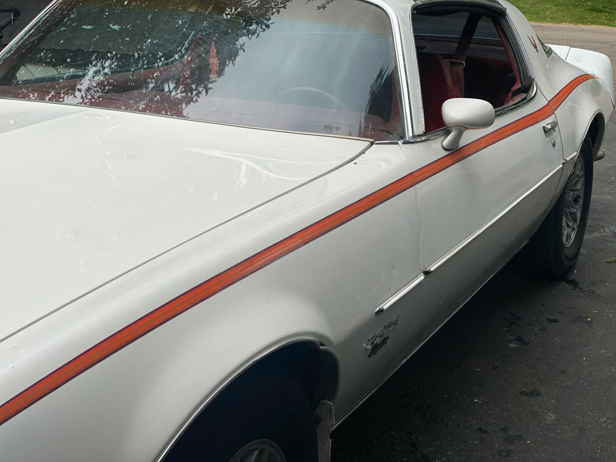 1980 pontiac firebird white bird survivor lots of pics with video runs great !