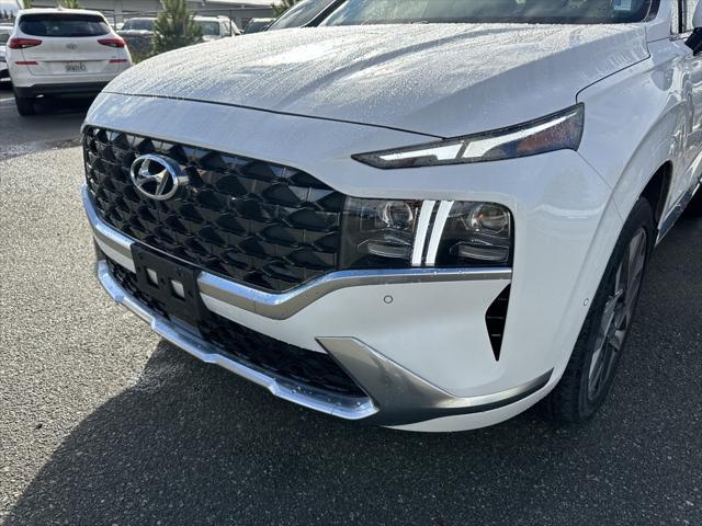 2022 hyundai santa fe calligraphy